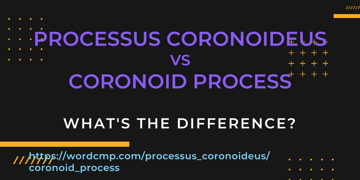 Difference between processus coronoideus and coronoid process