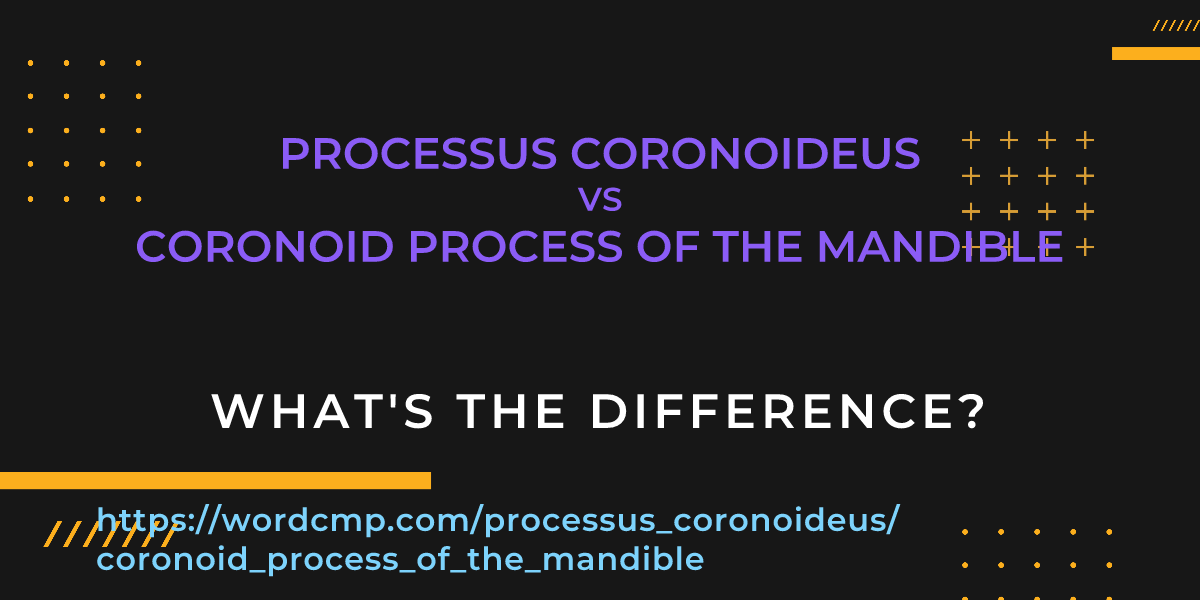 Difference between processus coronoideus and coronoid process of the mandible