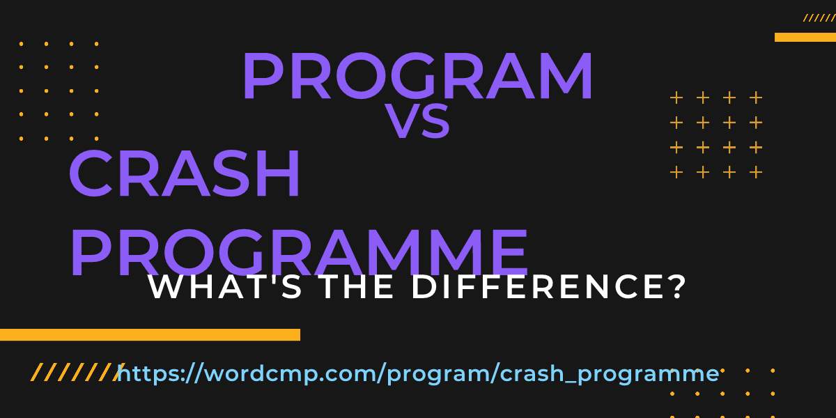 Difference between program and crash programme