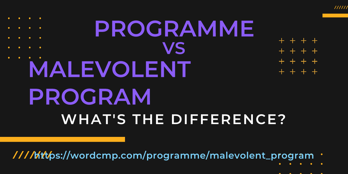Difference between programme and malevolent program