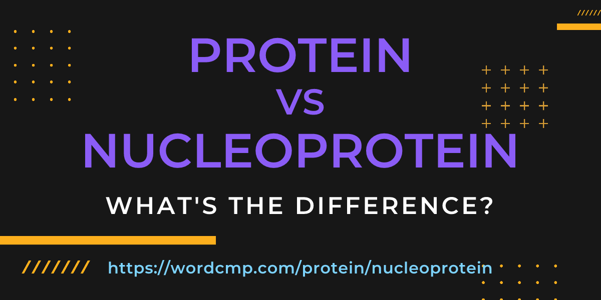 Difference between protein and nucleoprotein