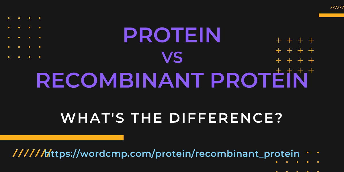 Difference between protein and recombinant protein