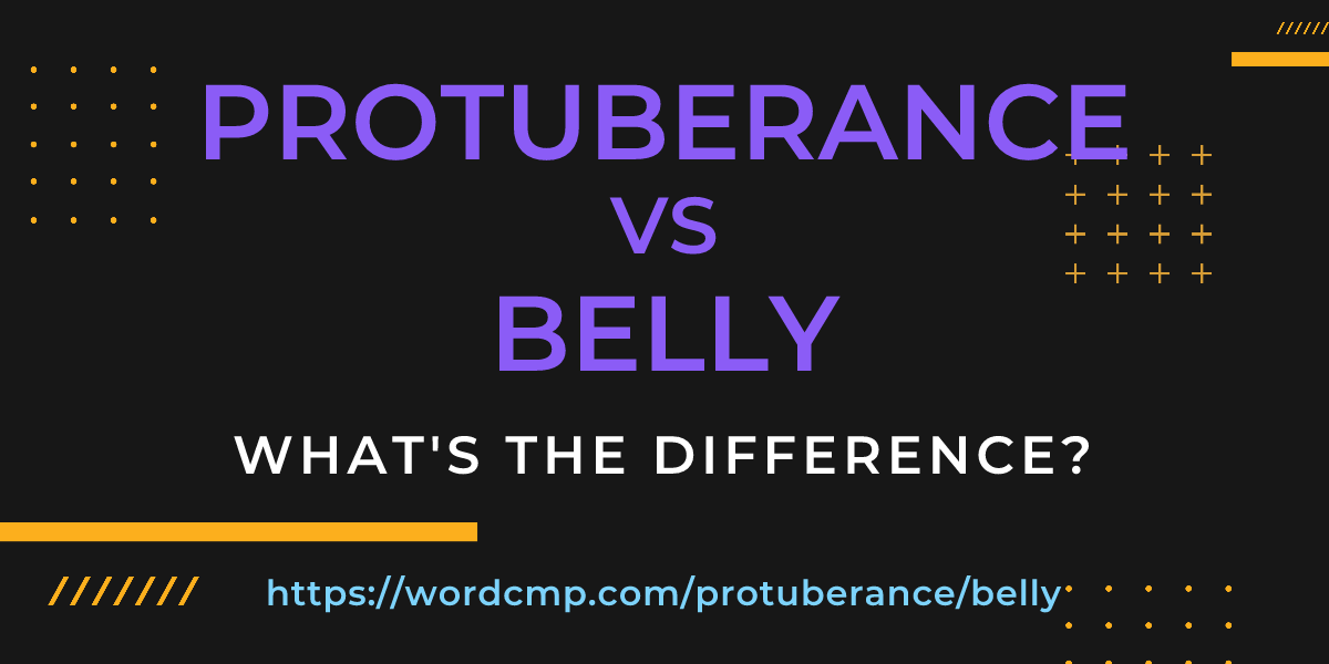 Difference between protuberance and belly