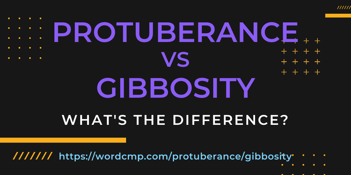 Difference between protuberance and gibbosity