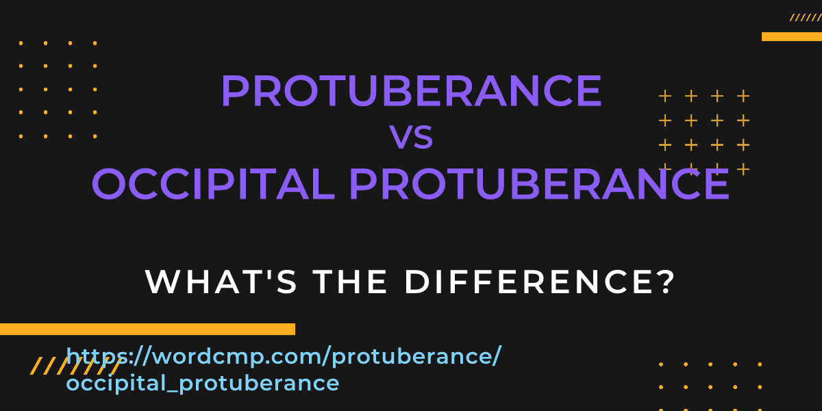 Difference between protuberance and occipital protuberance