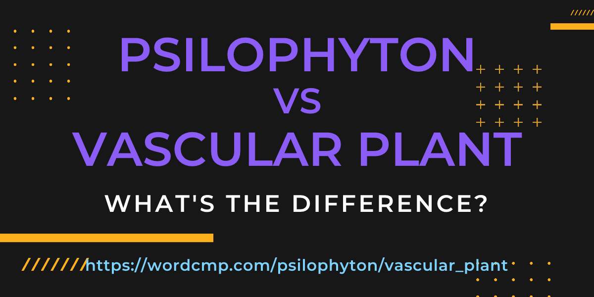 Difference between psilophyton and vascular plant