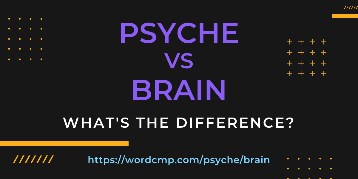 Difference between psyche and brain