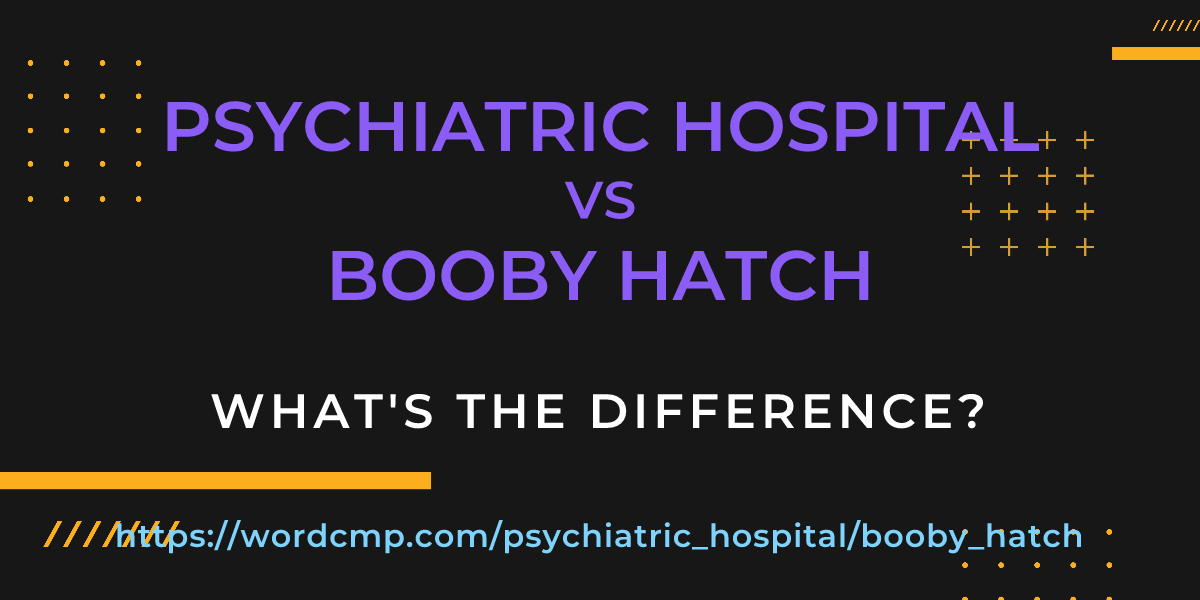 Difference between psychiatric hospital and booby hatch