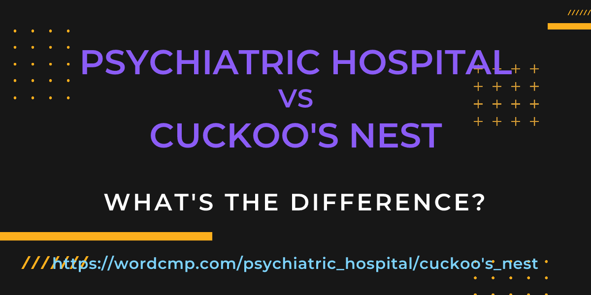 Difference between psychiatric hospital and cuckoo's nest
