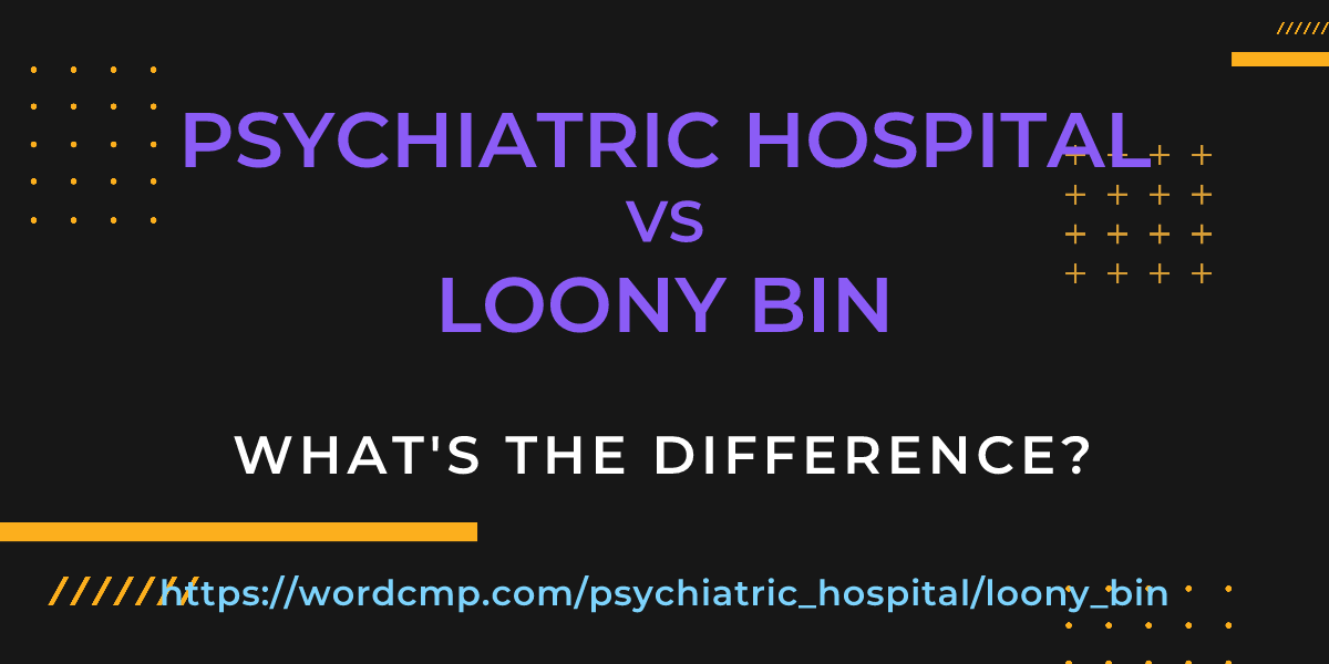 Difference between psychiatric hospital and loony bin