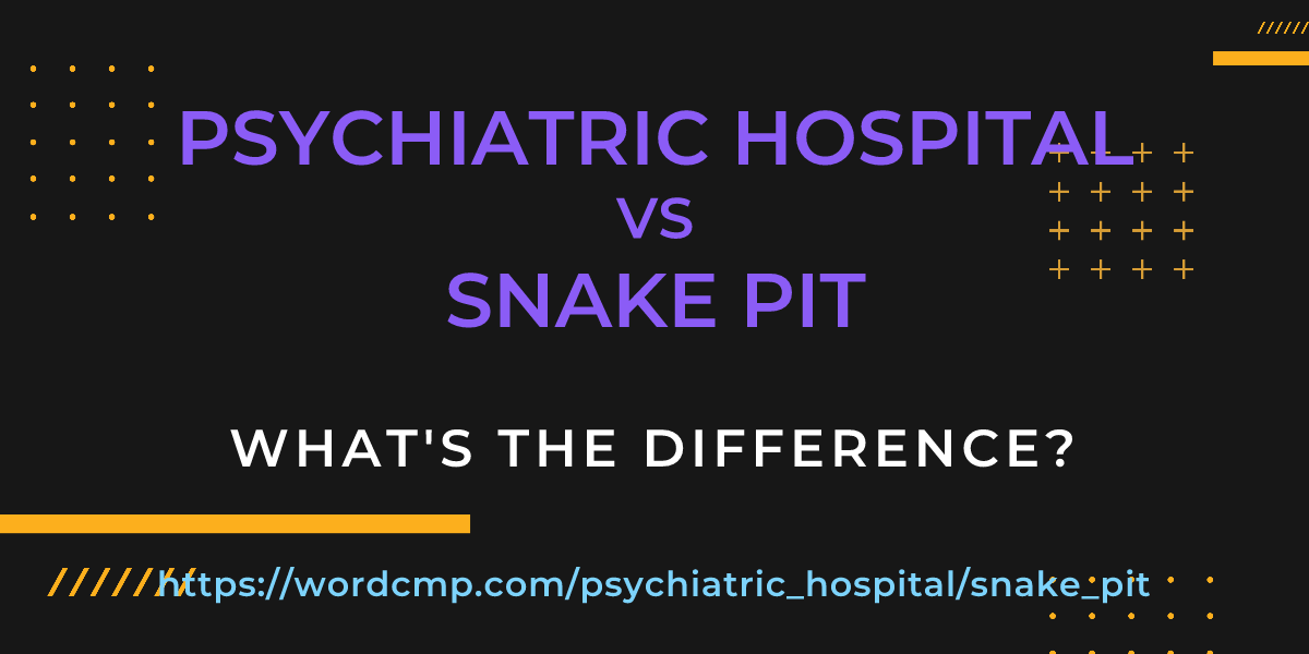Difference between psychiatric hospital and snake pit