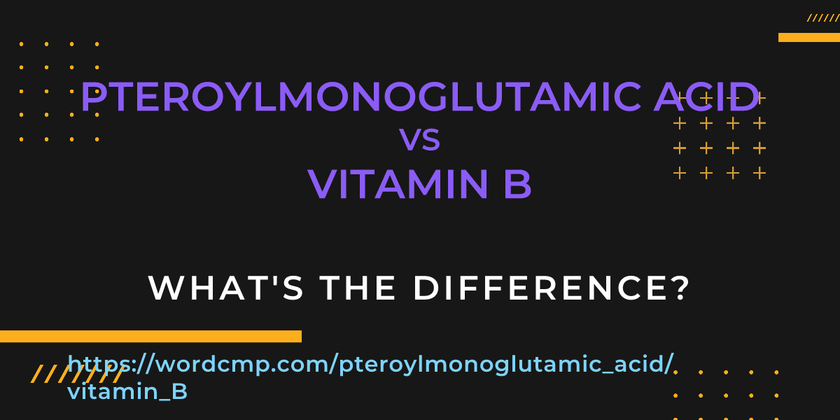 Difference between pteroylmonoglutamic acid and vitamin B