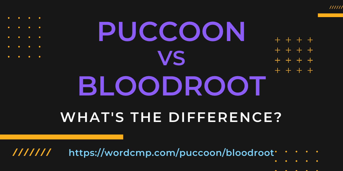 Difference between puccoon and bloodroot