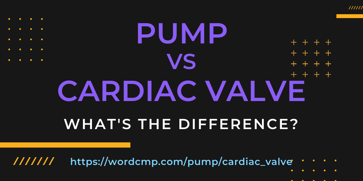 Difference between pump and cardiac valve
