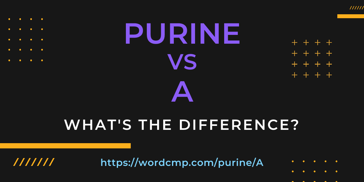 Difference between purine and A