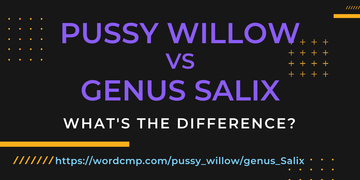 Difference between pussy willow and genus Salix