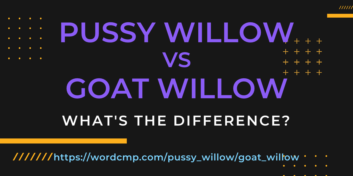 Difference between pussy willow and goat willow