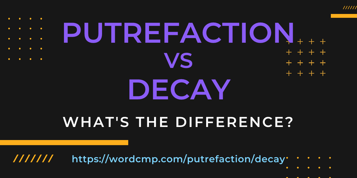 Difference between putrefaction and decay