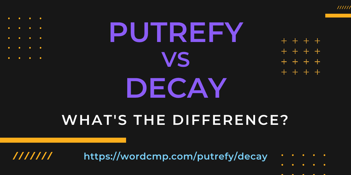 Difference between putrefy and decay