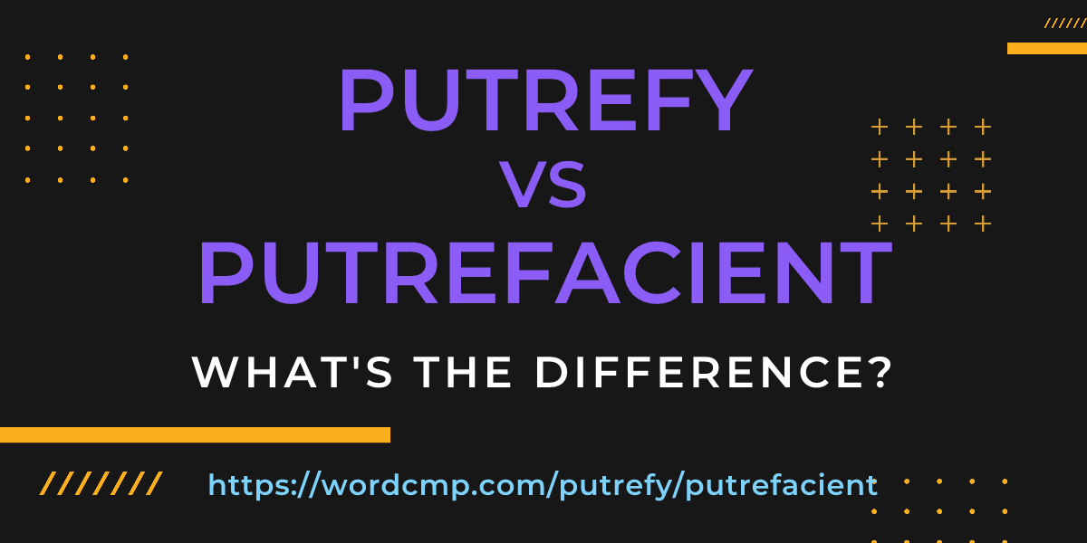 Difference between putrefy and putrefacient