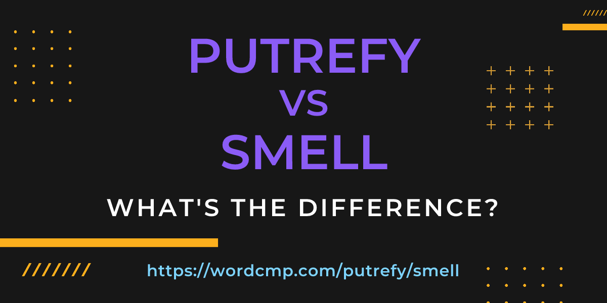 Difference between putrefy and smell