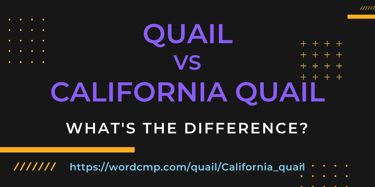 Difference between quail and California quail
