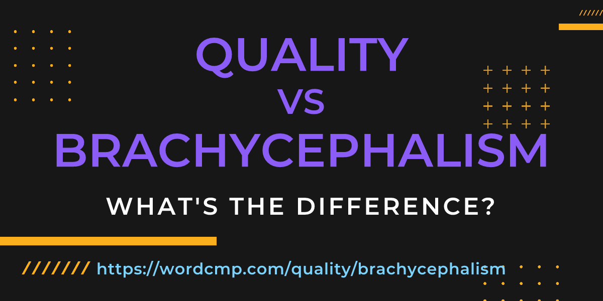 Difference between quality and brachycephalism
