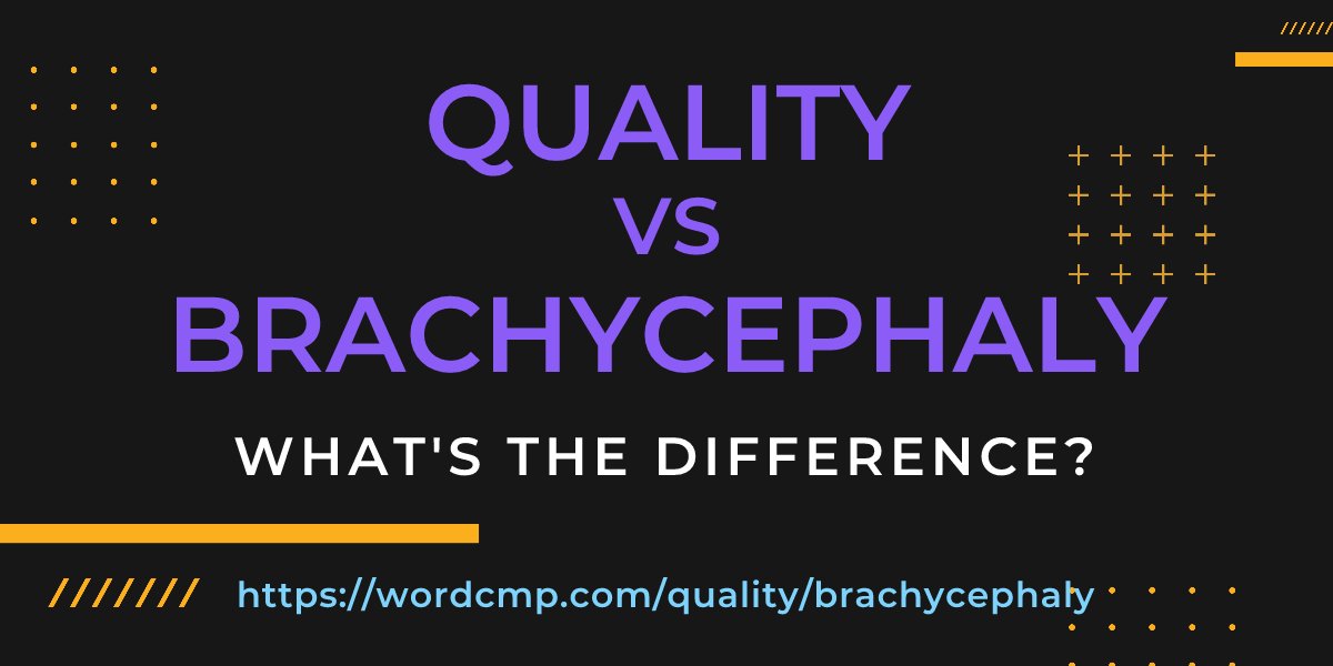Difference between quality and brachycephaly
