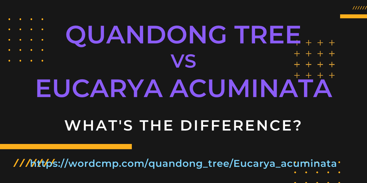 Difference between quandong tree and Eucarya acuminata