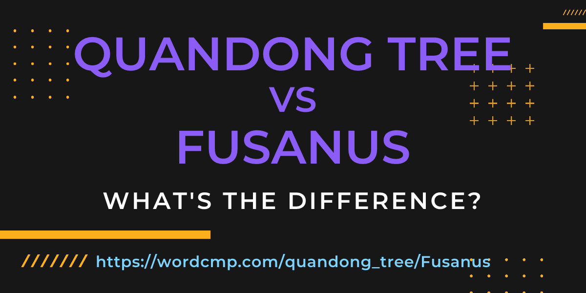 Difference between quandong tree and Fusanus