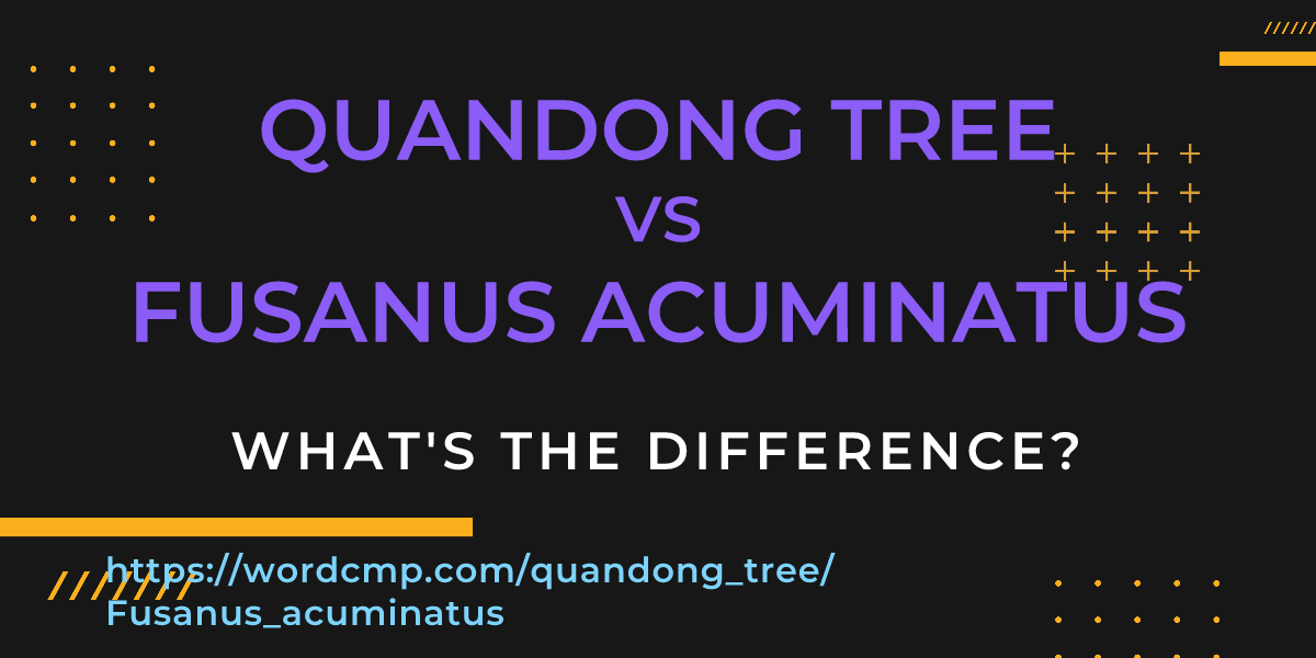 Difference between quandong tree and Fusanus acuminatus