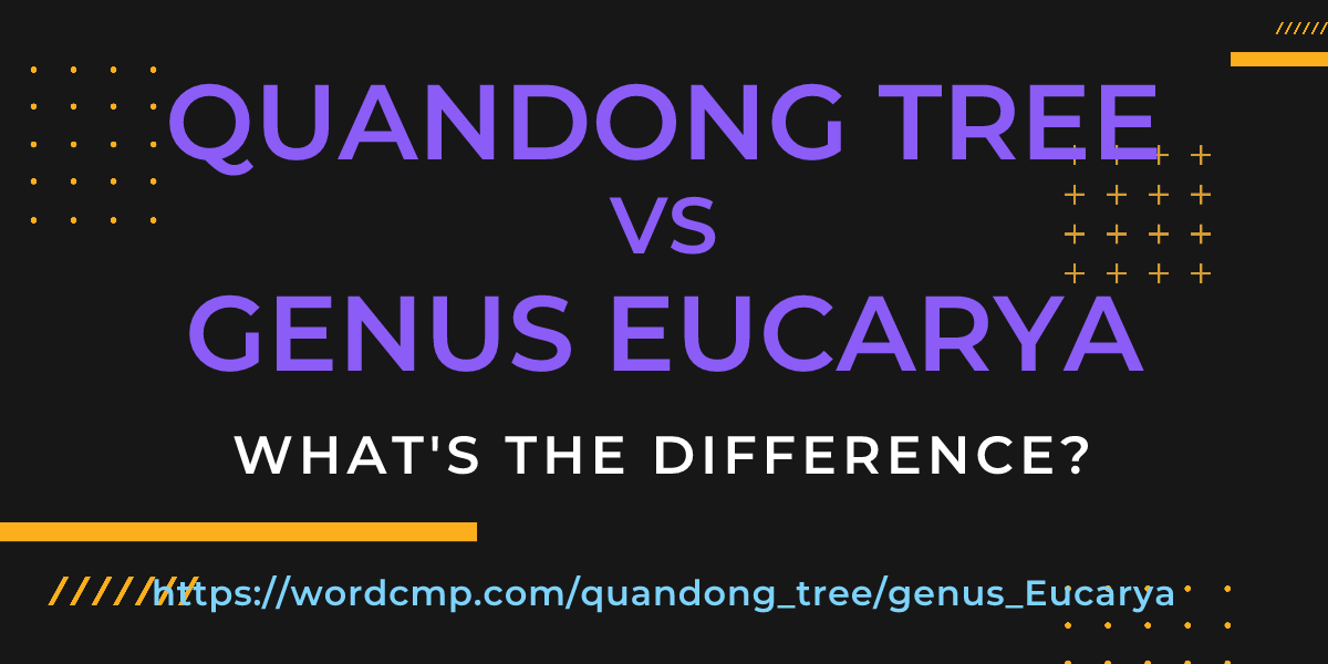 Difference between quandong tree and genus Eucarya