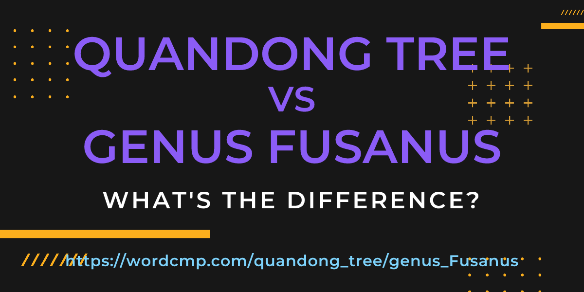 Difference between quandong tree and genus Fusanus