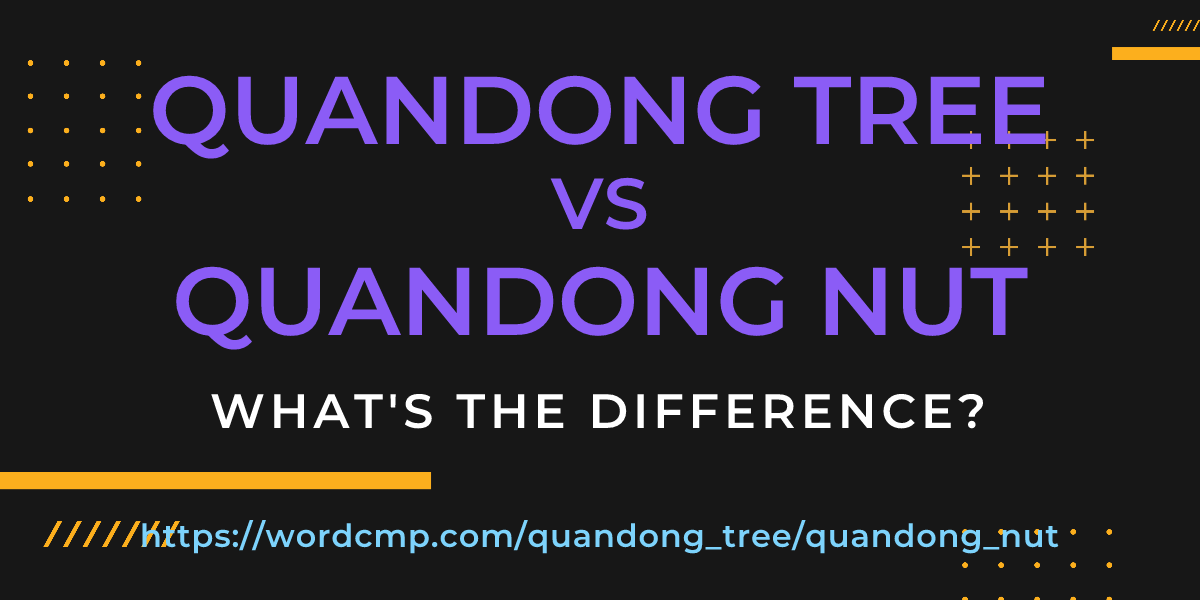 Difference between quandong tree and quandong nut