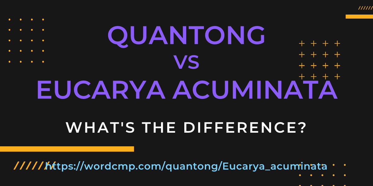 Difference between quantong and Eucarya acuminata