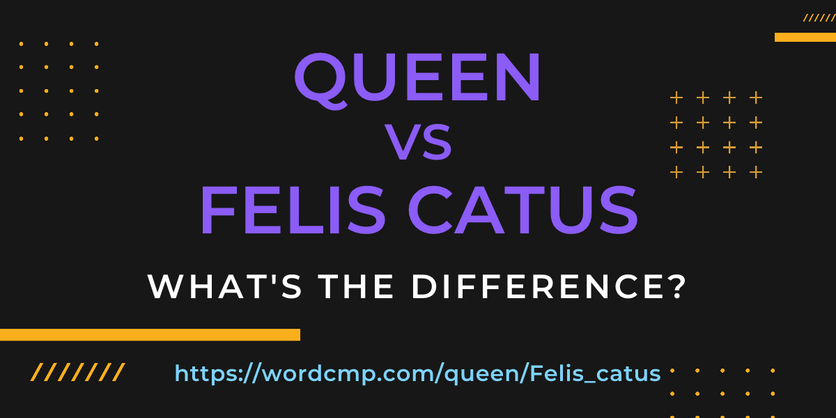 Difference between queen and Felis catus