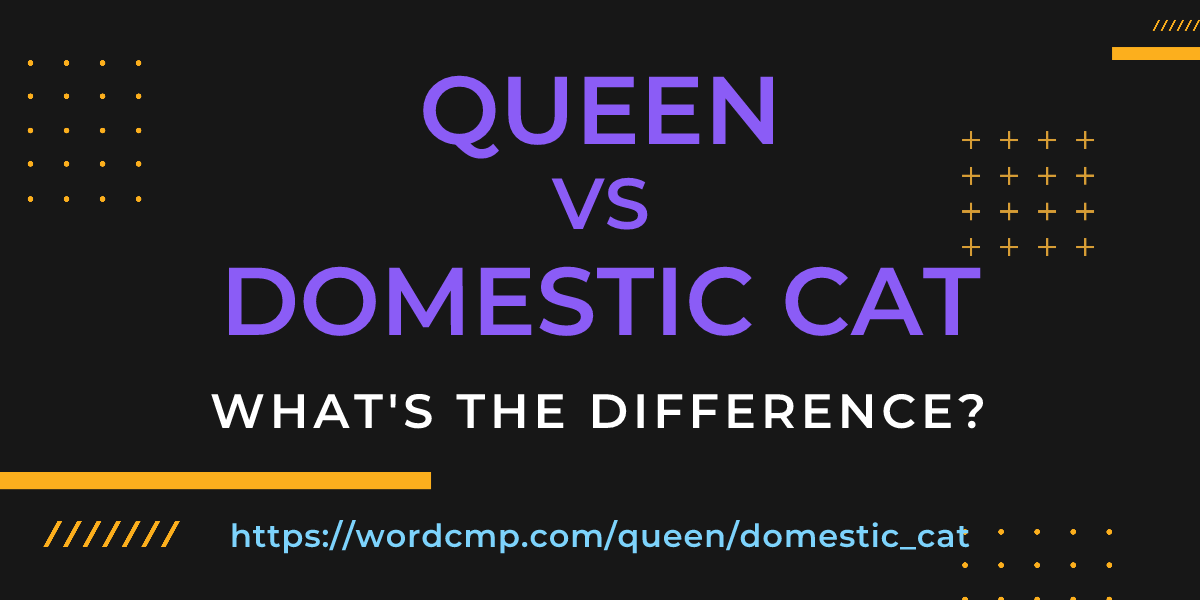 Difference between queen and domestic cat