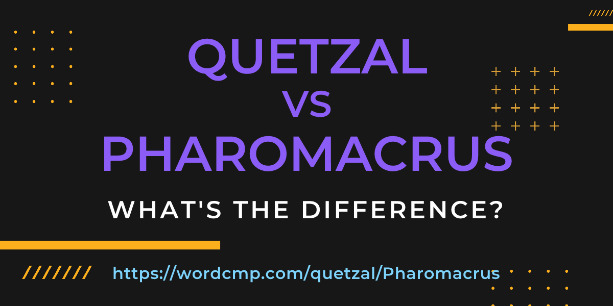Difference between quetzal and Pharomacrus