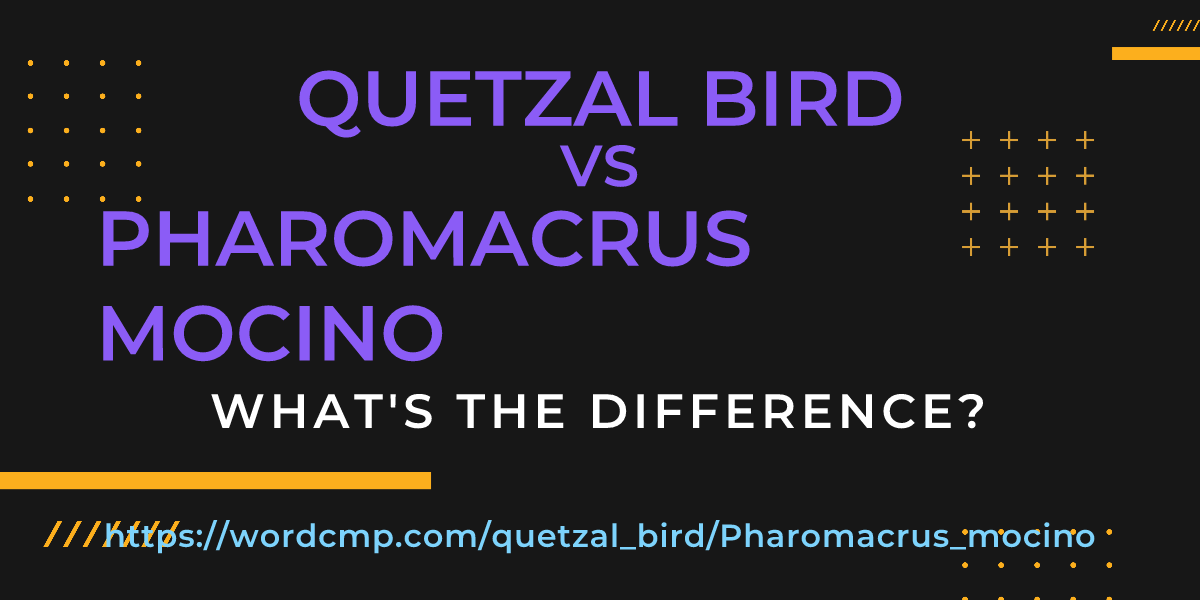 Difference between quetzal bird and Pharomacrus mocino