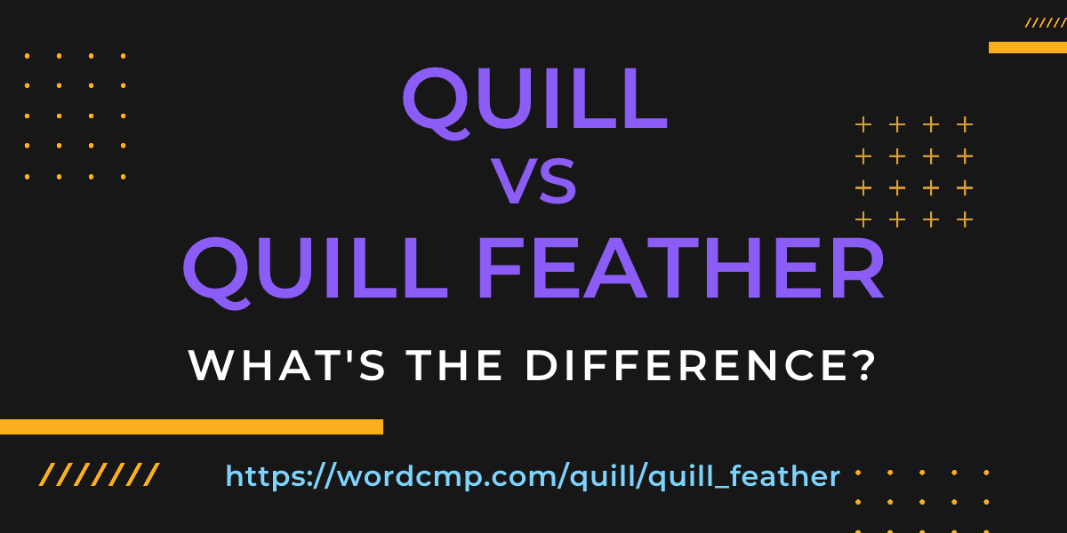 Difference between quill and quill feather