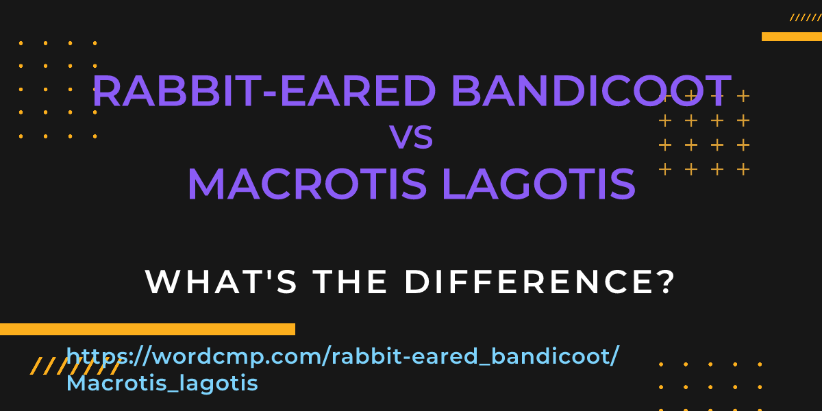 Difference between rabbit-eared bandicoot and Macrotis lagotis