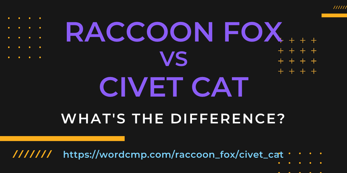 Difference between raccoon fox and civet cat