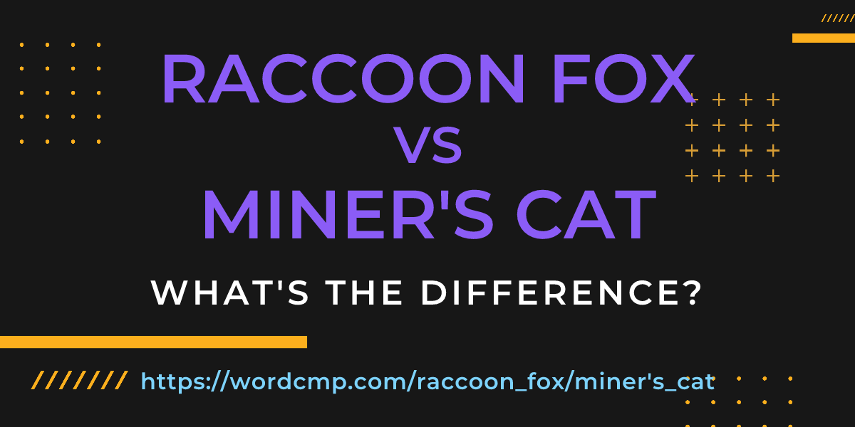 Difference between raccoon fox and miner's cat