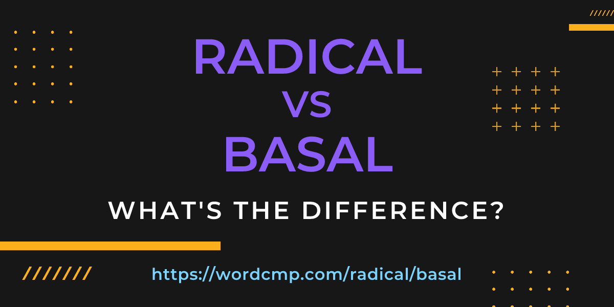 Difference between radical and basal
