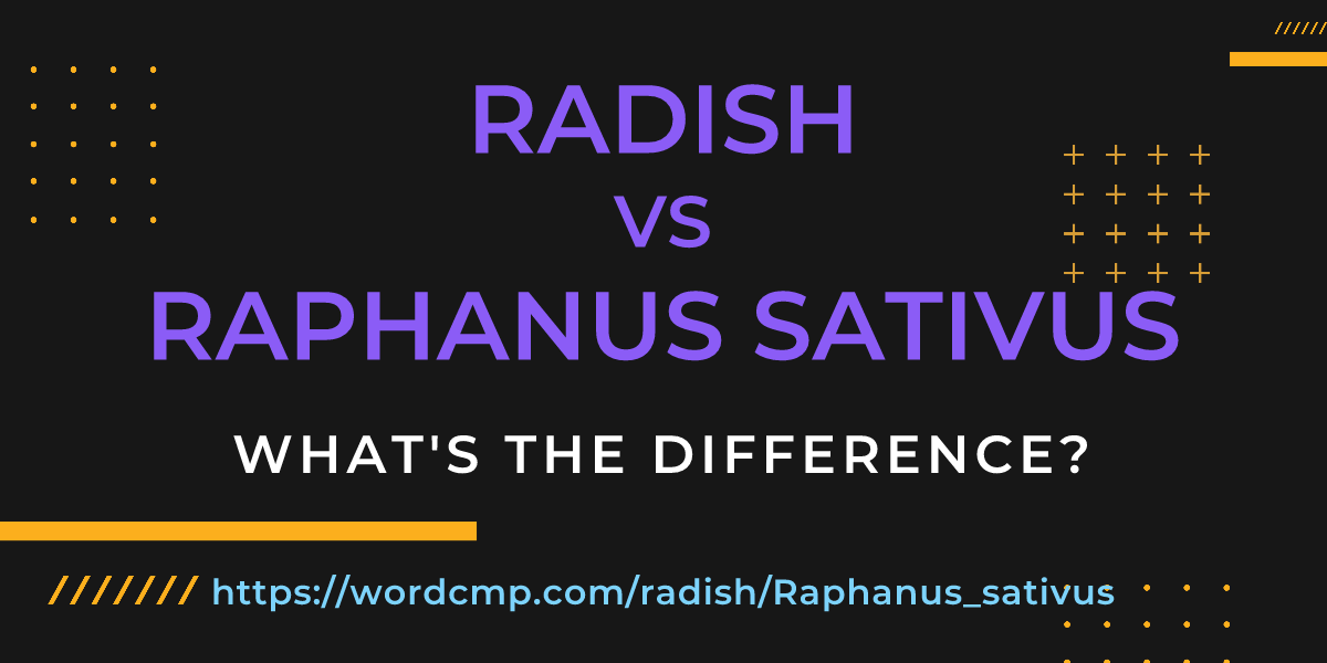 Difference between radish and Raphanus sativus