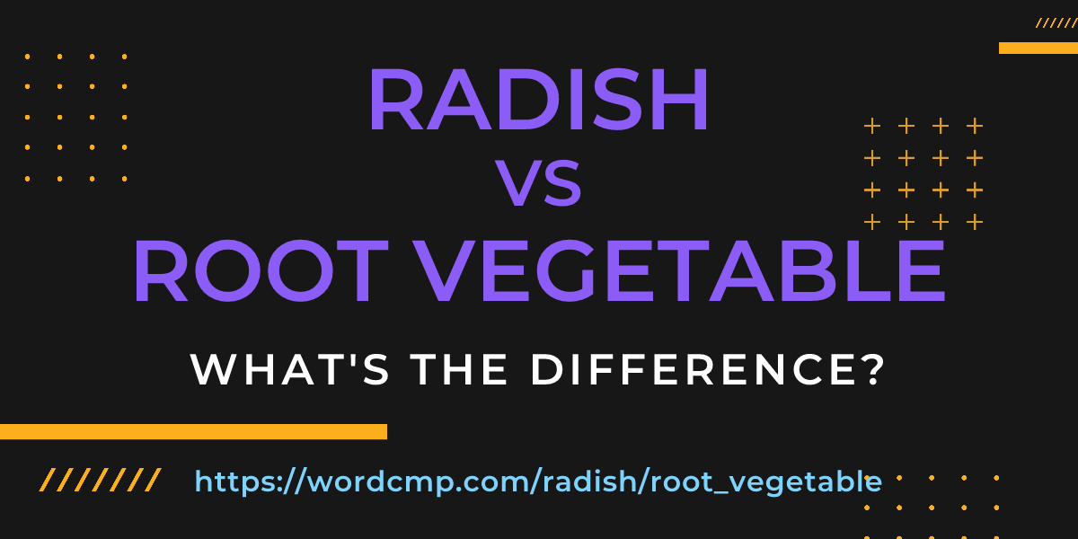 Difference between radish and root vegetable