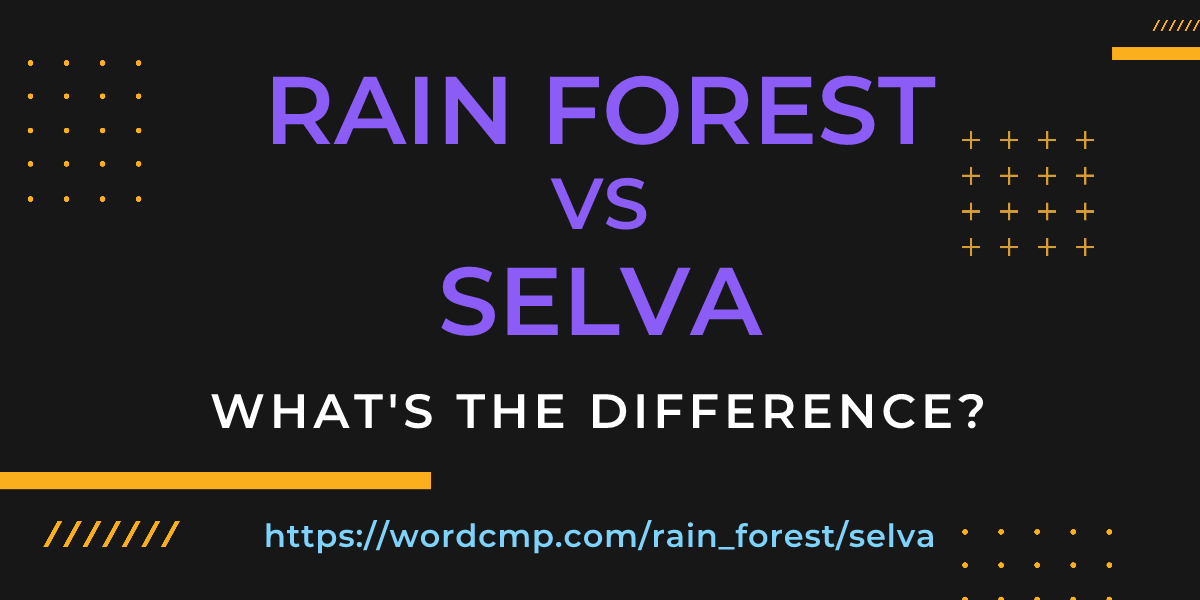 Difference between rain forest and selva