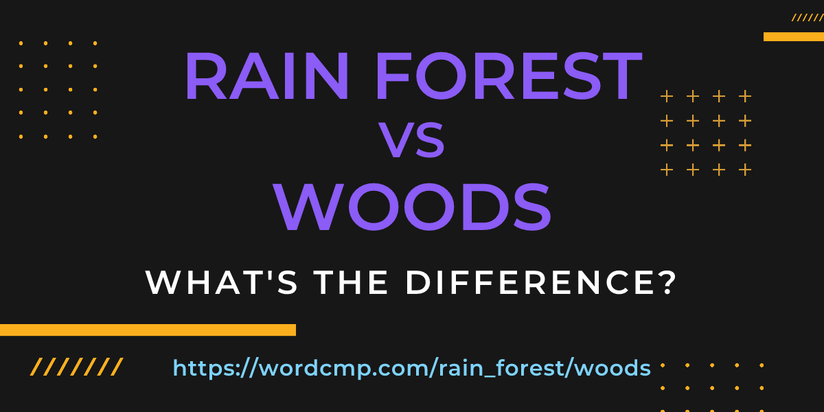 Difference between rain forest and woods
