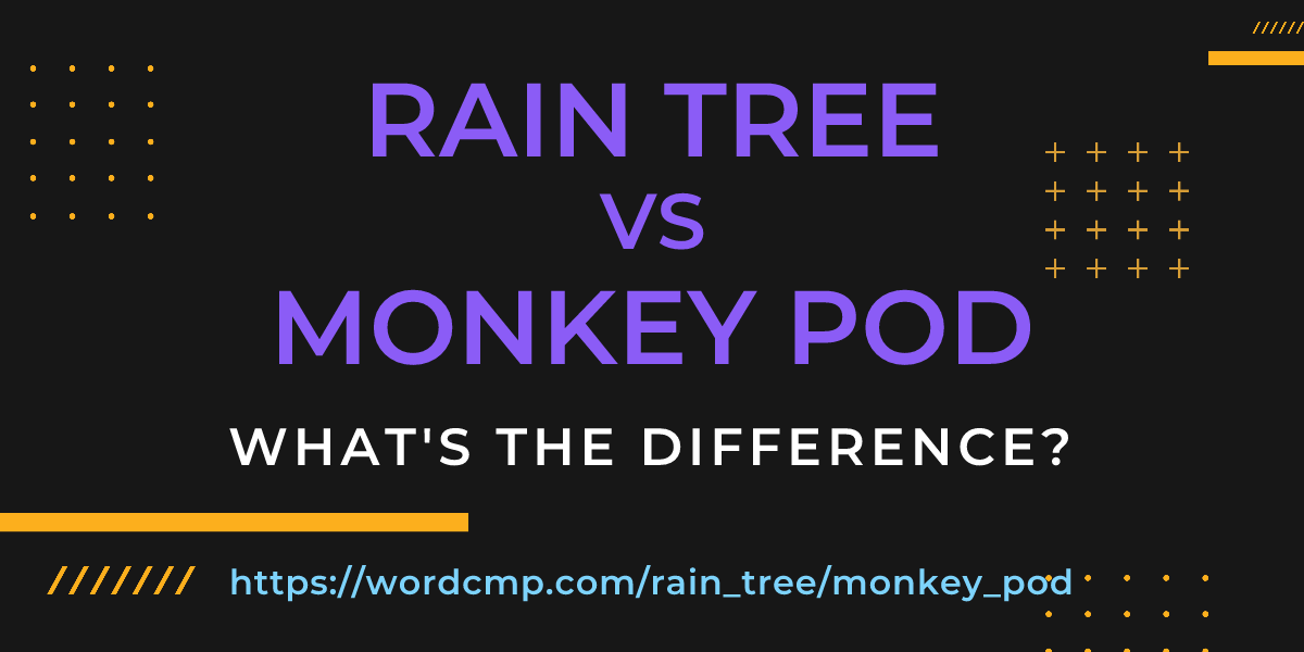 Difference between rain tree and monkey pod