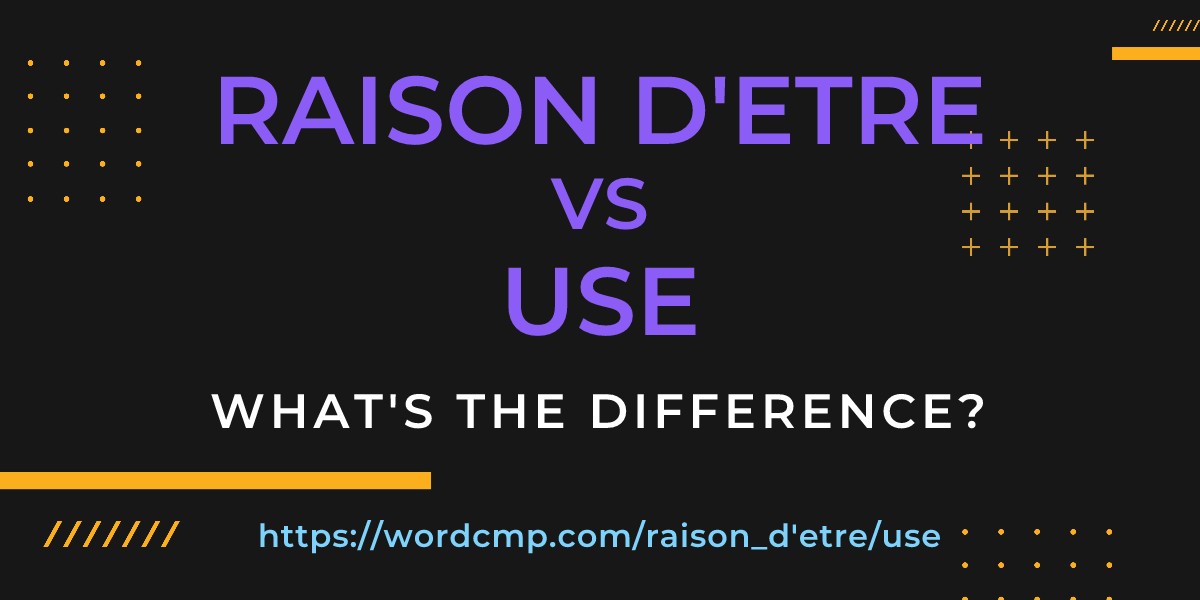 Difference between raison d'etre and use
